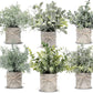Small Fake Plants Mini Potted Artificial Plants Indoor for Home Office Farmhouse Kitchen Bathroom Table Decor