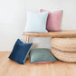 Decorative Throw Pillow Covers Cushion Cases, Set of 4 Soft Velvet Modern Double-Sided Designs, Mix and Match for Home Decor, Pillow Inserts Not Included (18X18 Inch, Pink/Blue)
