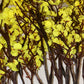 Gypsophila Flowers Artificial Branch Wedding Home Fake Bouquet Breath Decoration