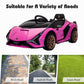 12V Electric Kids Ride on Car Lamborghini Sian W/Remote Control & MP3 Kids Gift